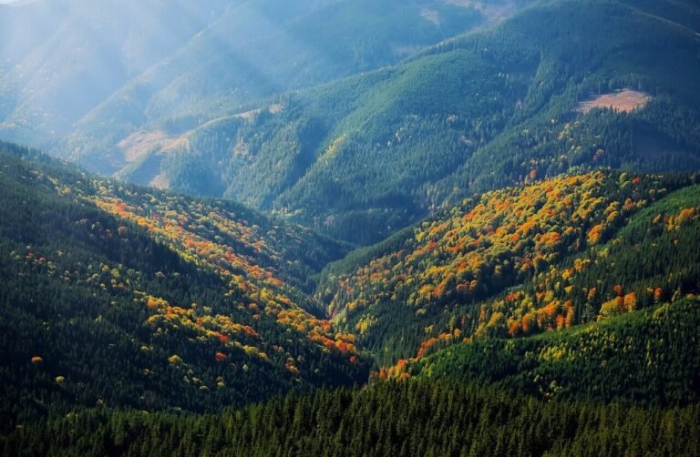 blog-5 blog-5